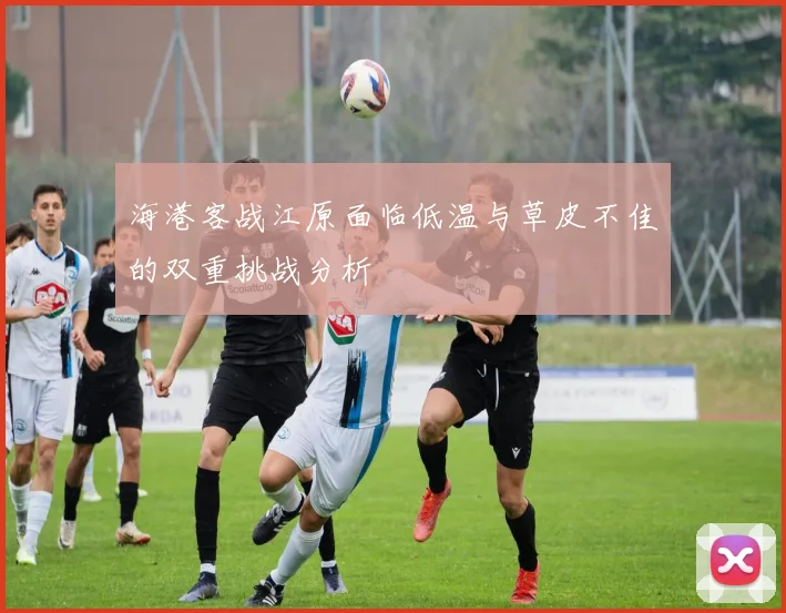 海港客战江原面临低温与草皮不佳的双重挑战分析
