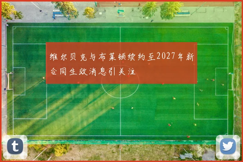 维尔贝克与布莱顿续约至2027年新合同生效消息引关注