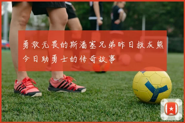 勇敢无畏的斯潘塞兄弟昨日救灰熊今日助勇士的传奇故事