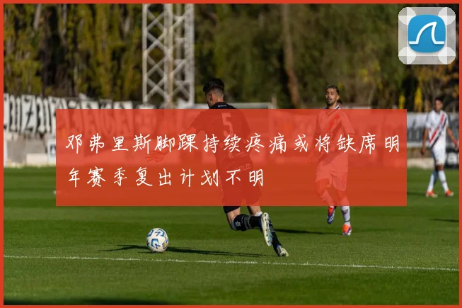 邓弗里斯脚踝持续疼痛或将缺席明年赛季复出计划不明