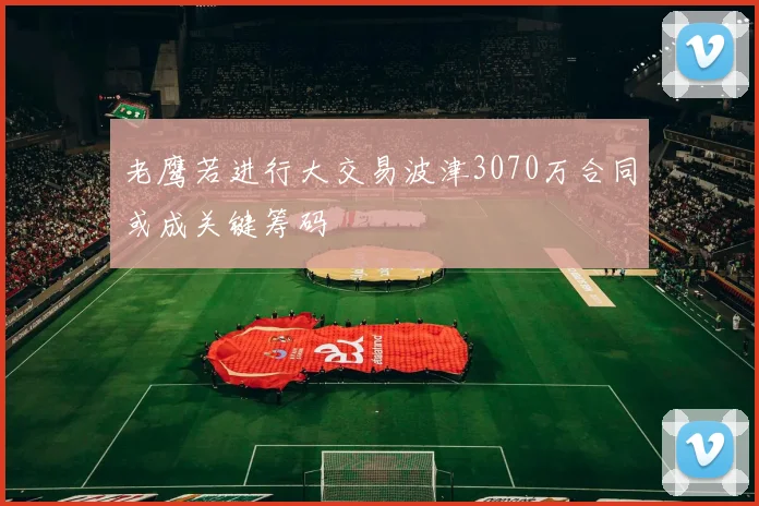 老鹰若进行大交易波津3070万合同或成关键筹码
