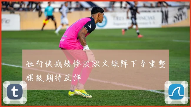 独行侠战绩惨淡欧文缺阵下季重整旗鼓期待反弹