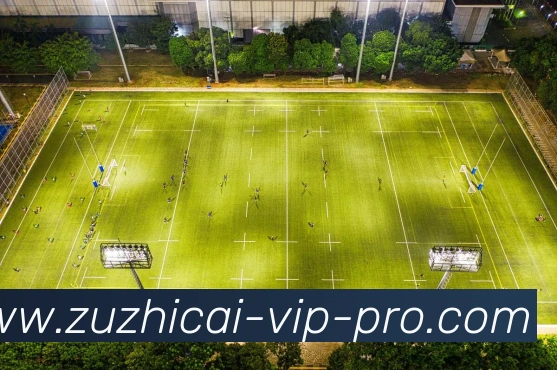 足智彩平台生态图